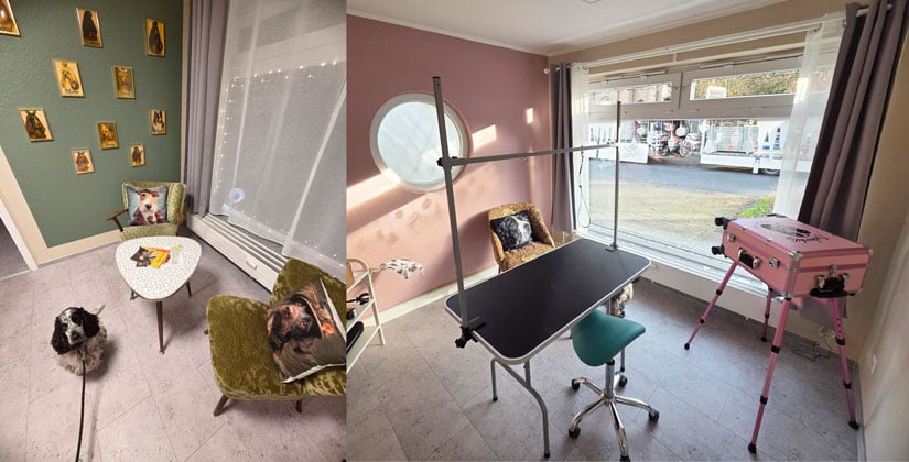 Neueröffnung in Leverkusen Opladen: Spa für Vierbeiner 