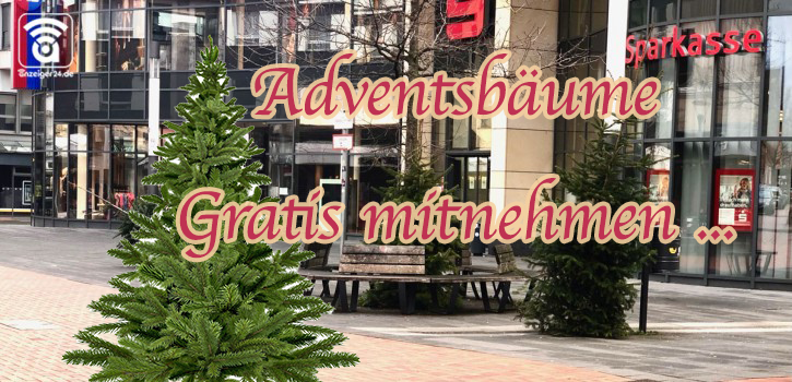 Die Weihnachtsbäume der Mittelstraße