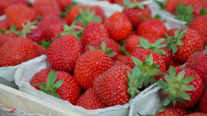 Das Erdbeerfest in Richrath lockt mit Obst und einem bunten Familienprogramm