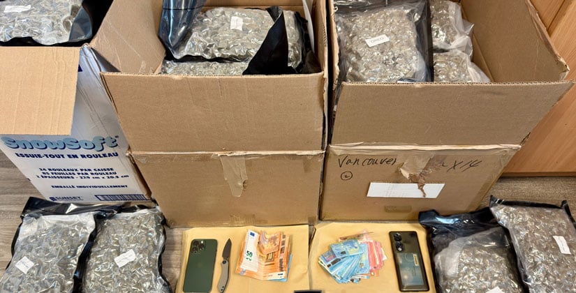 31 Kilo Marihuana, Messer und Bargeld  beschlagnahmt – Chinesischer Fahrer offenbar berauscht