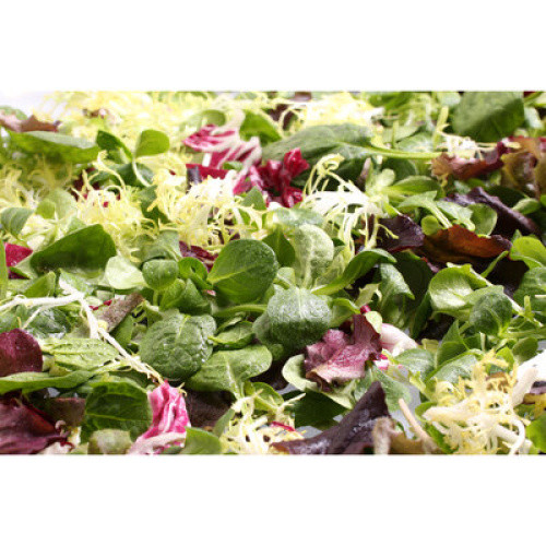 Salatmischung Rapunzel verzehrfertig frisch 500g Salatmischung Rapunzel verzehrfertig frisch 500g