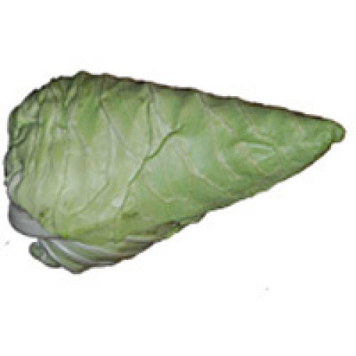 Spitzkohl Spitzkohl