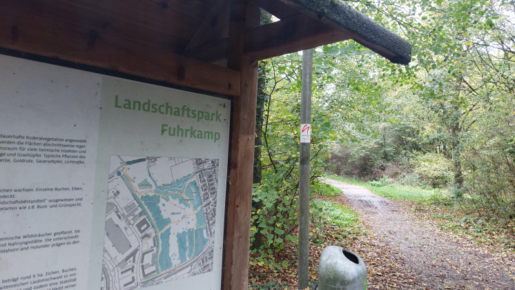 Langenfeld startet  Kampf gegen Neophyten Langenfeld startet  Kampf gegen Neophyten