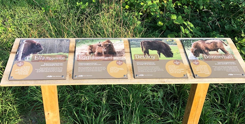 Hier können Besucher mehr über die Gewohnheiten und Charakterzüge der Tiere erfahren