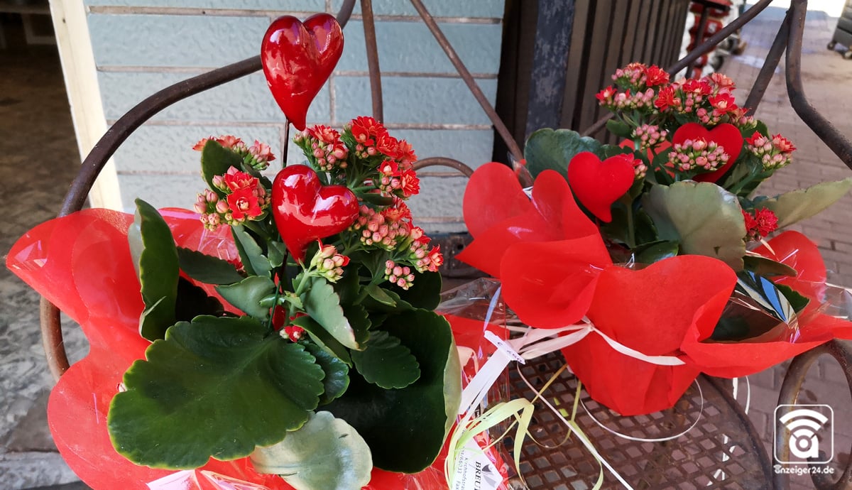 Blumen-Pavillon-Merkelbach-Hilden-Muttertag-Herzen