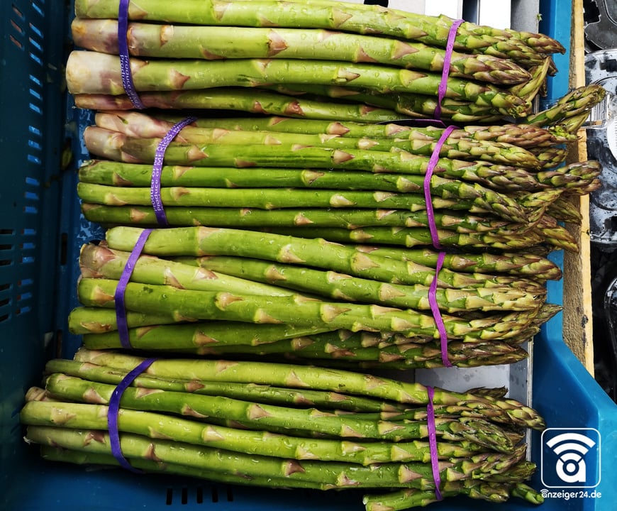 Gruenfutter-Hilden-gruener-Spargel
