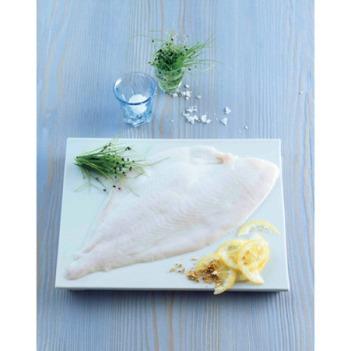 MSC Frisches Schollenfilet mit weißer Haut praktisch grätenfrei handfiletiert 100g+ MSC Frisches Schollenfilet mit weißer Haut praktisch grätenfrei handfiletiert 100g+