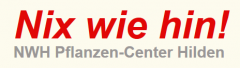 Nix Wie Hin Prospekt