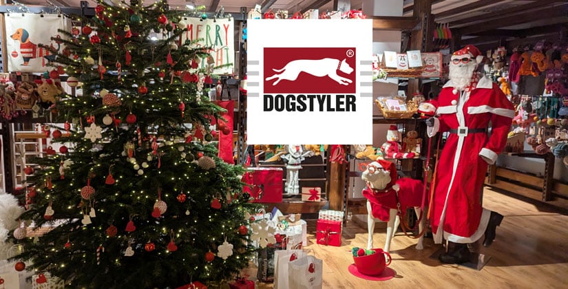 Damit auch Hunde beschert werden: Mitmachen, Freude schenken, Gutes tun