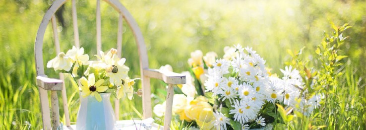 Garten & Mehr Garten & Mehr