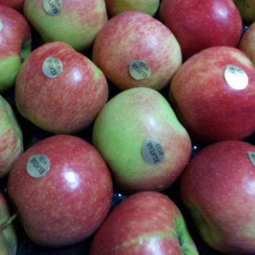Äpfel Elstar kg Äpfel Elstar kg
