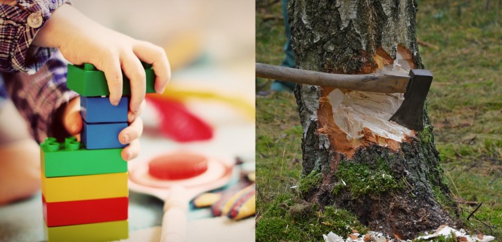 Stadt will Verlust durch Ersatzpflanzungen und Ausgleichszahlungen kompensieren