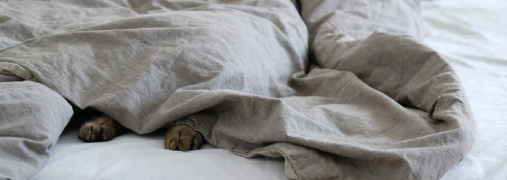 Lattenrost Lattenrost