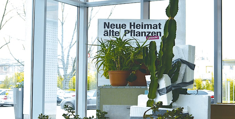Künstleraktion um nicht mehr geliebte Gewächse Künstleraktion um nicht mehr geliebte Gewächse