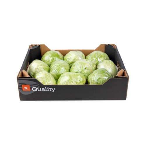 Eissalat frisch 450-600g Eissalat frisch 450-600g
