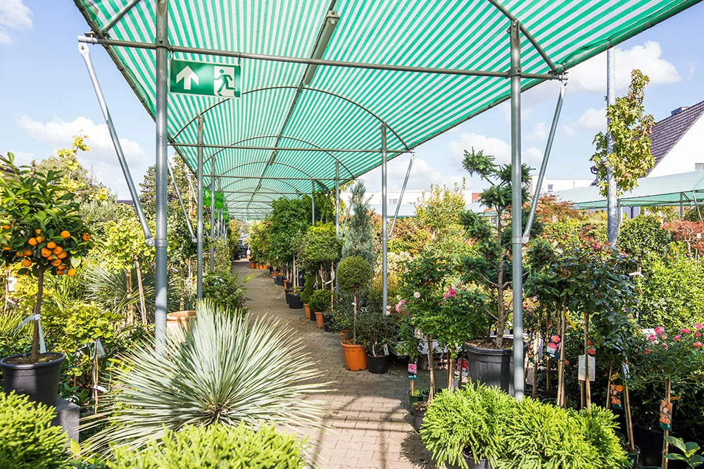 berghausener-blumentopf-blumenhandel-pflanzen-gartenzubehoer-geschenkartikel-garten-langenfeld-6DvGnzRfNVM8X8