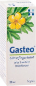 Gasteo Gasteo