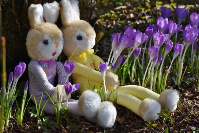 Osterhase Haan Garten Frühling Osterhase Haan Garten Frühling