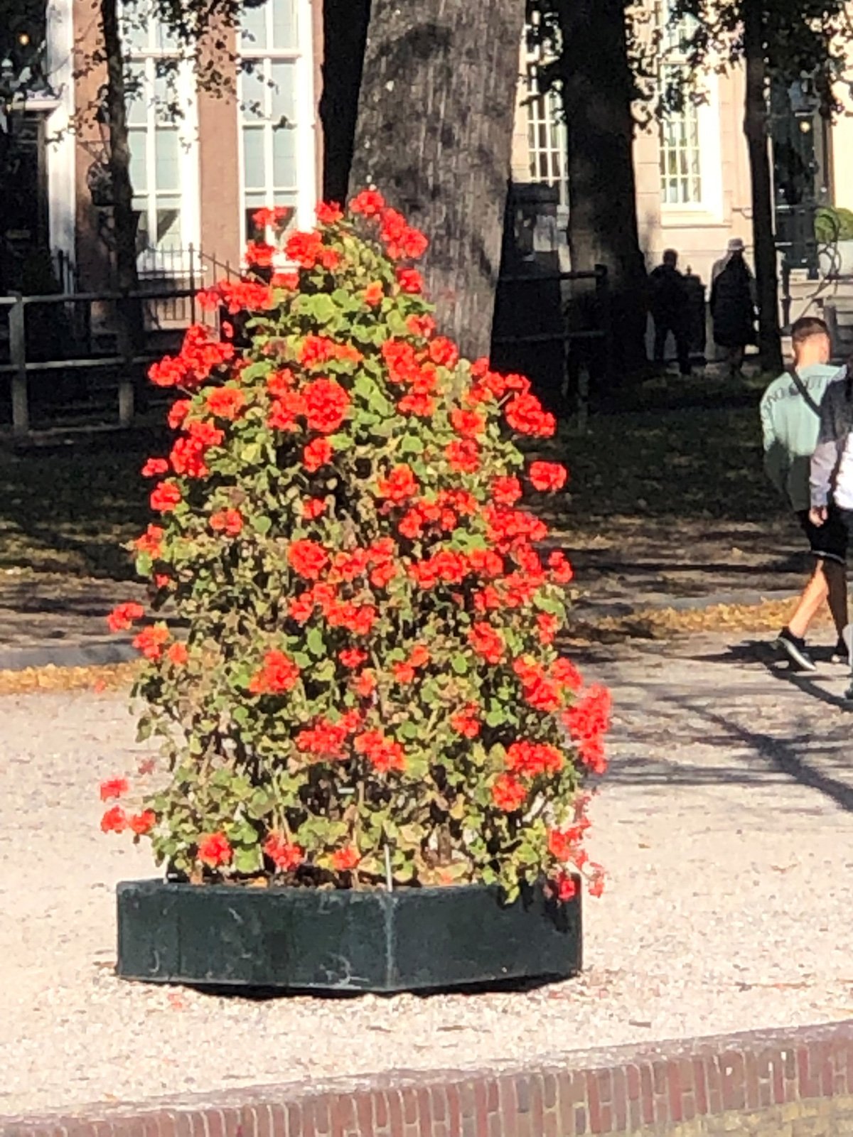 Blumenpyramide