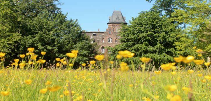 Als Preise winken Einkaufsgutscheine