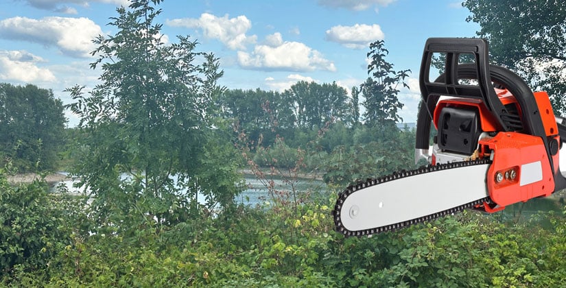 Waren Grünarbeiten am Greisbachsee rechtswidrig?