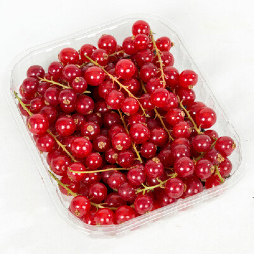 Johannisbeere rot 125g Johannisbeere rot 125g