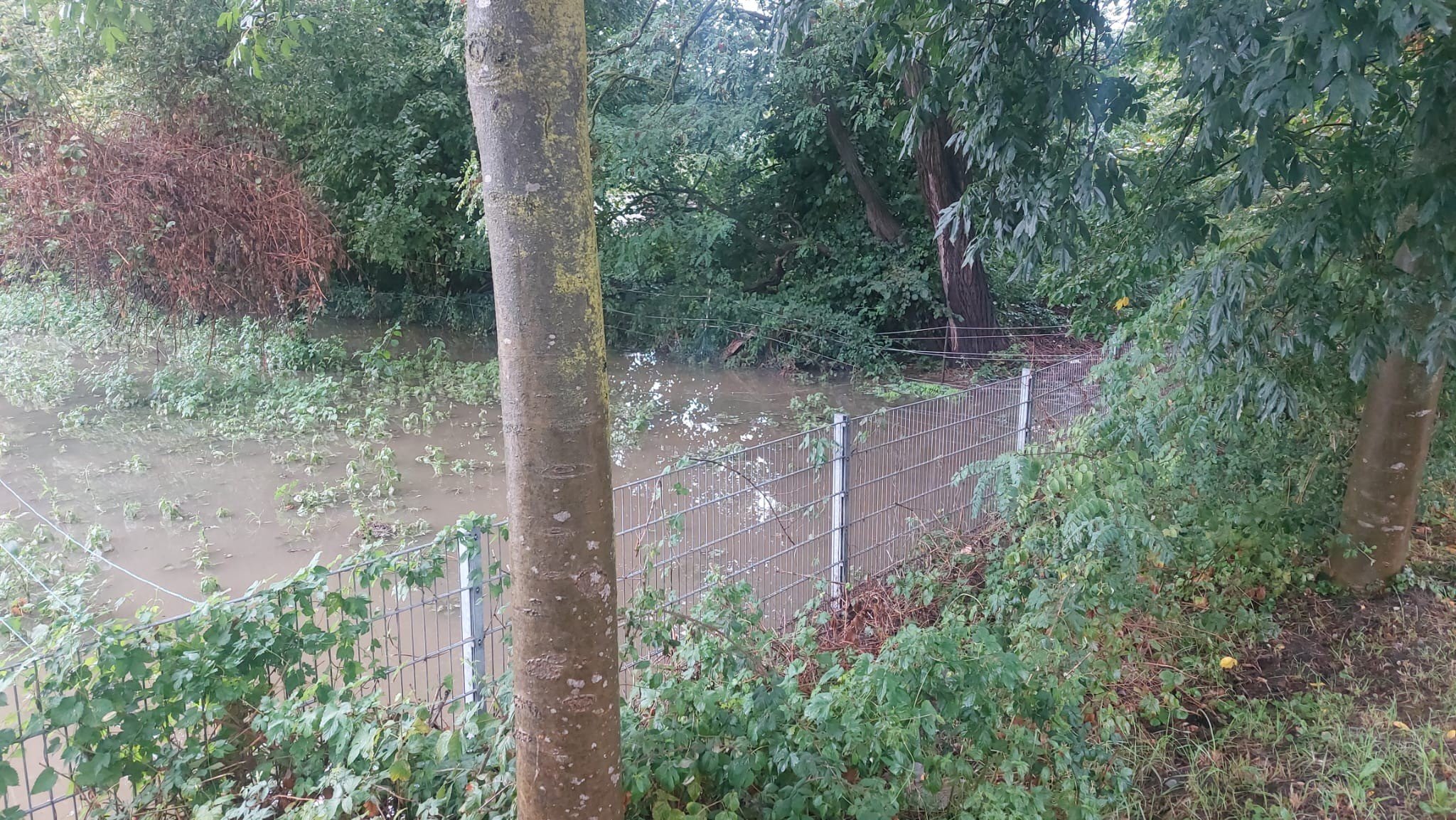 Viebach-naehe-Rietherbach-in-Langenfeld
