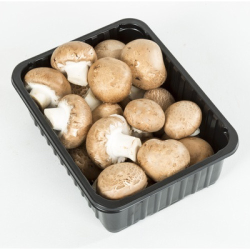 Champignons braun frisch 400g Champignons braun frisch 400g