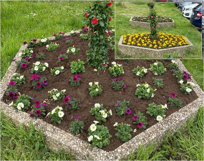 Blumenbeete