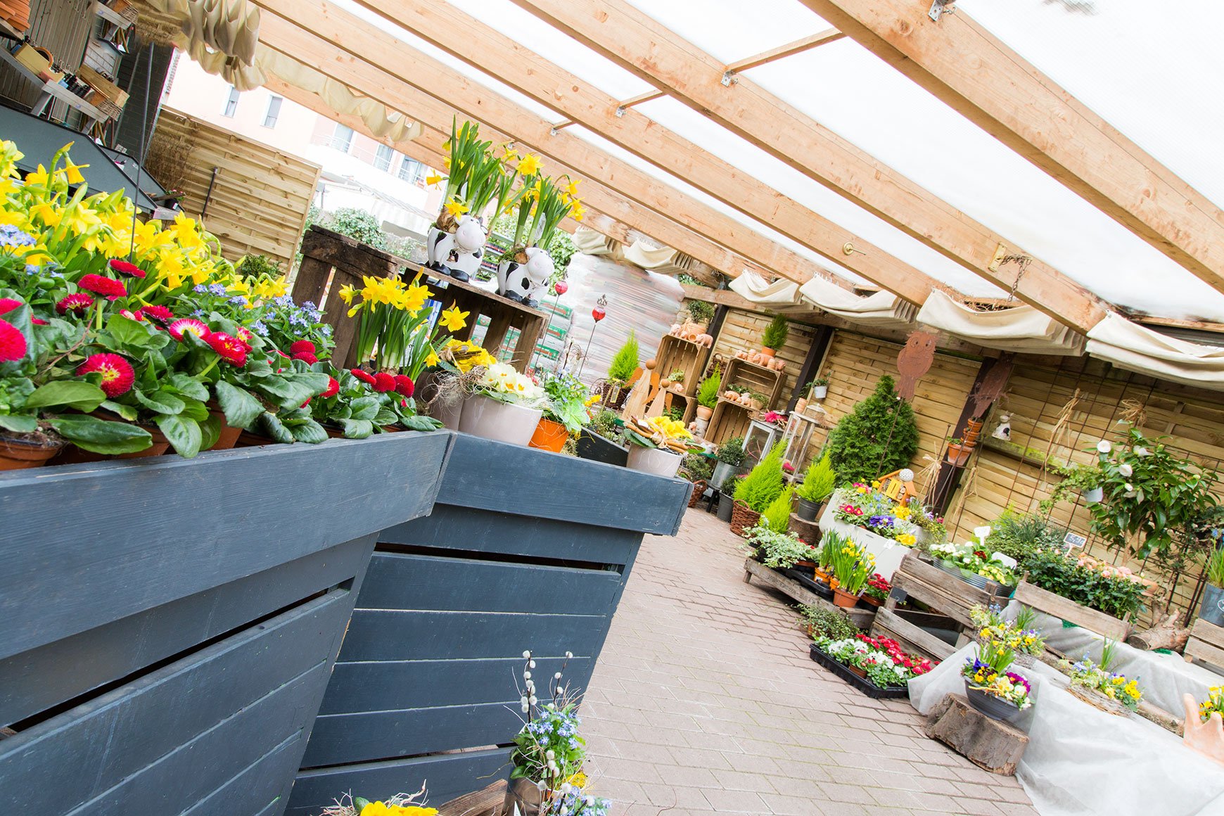Grosse-Blumenauswahl-bei-Blumenpavillon-Merkelbach-in-Hilden