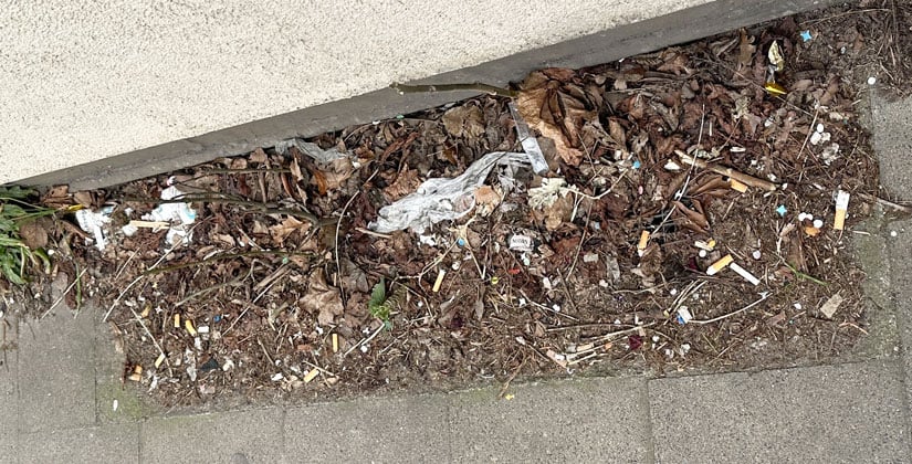 Die Antwort der Stadt hätten viele wohl so nicht erwartet … Die Antwort der Stadt hätten viele wohl so nicht erwartet …