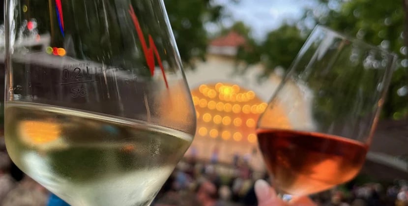 Wein, Musik und gesellige Atmosphäre im Neuland-Park