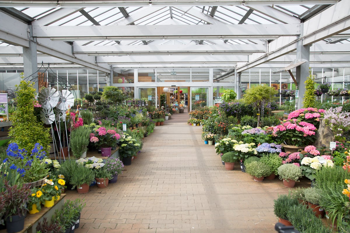 Laukart-Pflanzen-Blumen-Hilden-Gartencenter