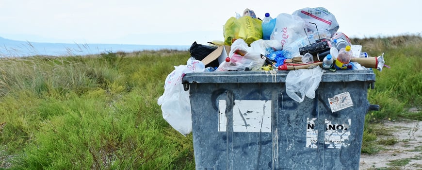 Umweltministerin: Bis 2021 sollen Einwegplastik-Produkte verschwunden sein