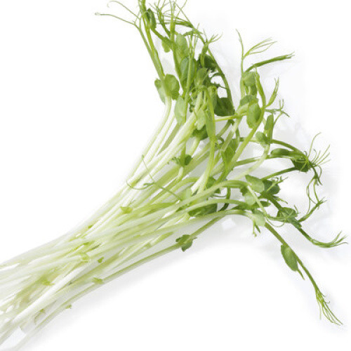 Sprosse Greenpeez frisch 100g Sprosse Greenpeez frisch 100g