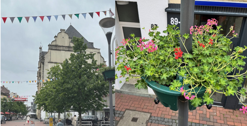 Blumenampeln und Wimpel bringen Farbe in die Fußgängerzone Blumenampeln und Wimpel bringen Farbe in die Fußgängerzone