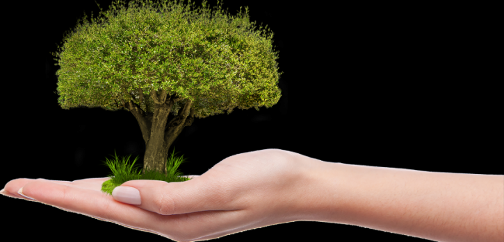 Kooperation mit Klimaschutzprojekt in Kolumbien Kooperation mit Klimaschutzprojekt in Kolumbien