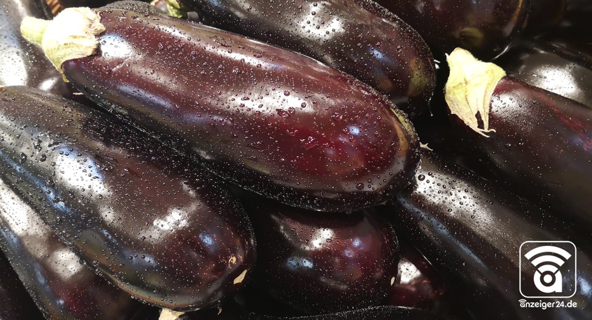 Selgros-Hilden-Obst-Gemuese-Aubergine
