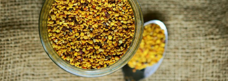 Nahrungsergänzung Nahrungsergänzung