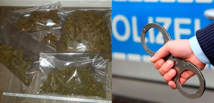 Rauschmittel, falsche Impfpässe und Diebesgut aufgespürt
