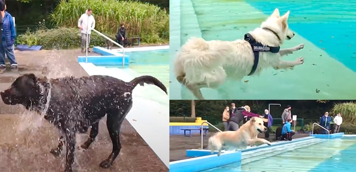 Jetzt könnt Ihr helfen, damit das Freibad nicht Geschichte wird