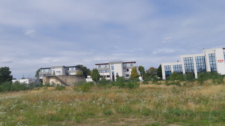 Ein Gerichtsurteil bringt die Stadt unter Druck - CDU und FDP verlangen Aufklärung