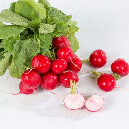Radieschen frisch 250g Radieschen frisch 250g