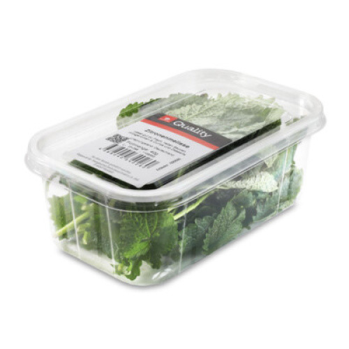 Zitronenmelisse frisch 40g Zitronenmelisse frisch 40g