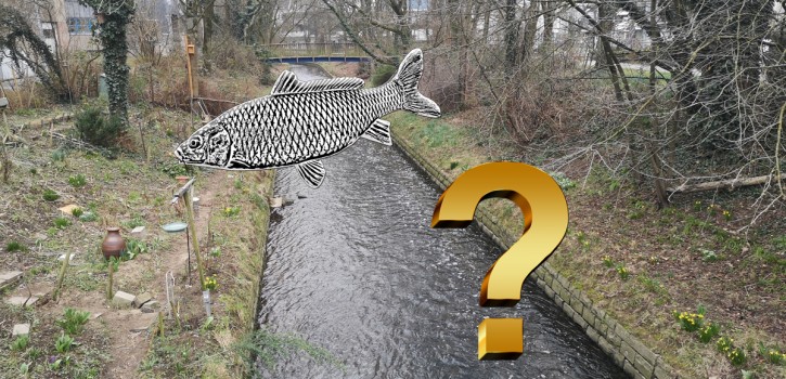 BRW-Geschäftsführer stellte sich den Fragen des Umweltausschuss in Hilden