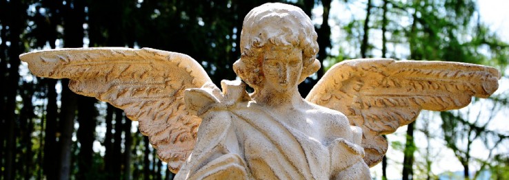 Grabpflege Grabpflege