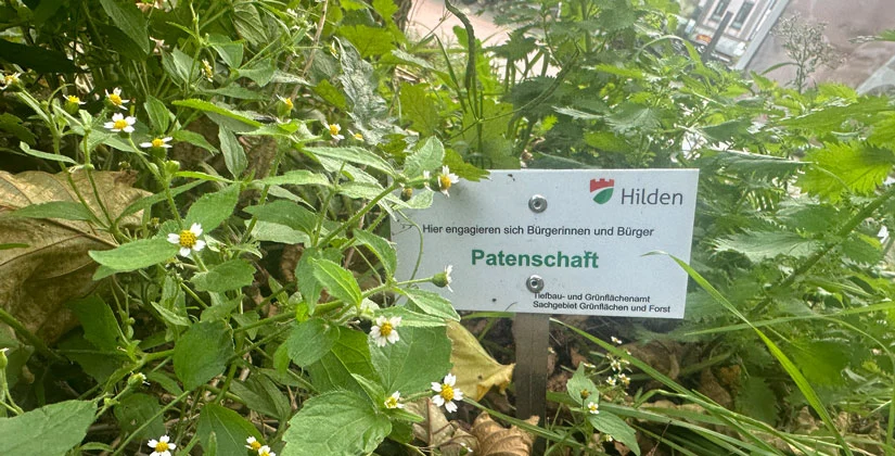 Paten-sollten-ihren-Job-ernst-nehmen-anzeiger24-de-News