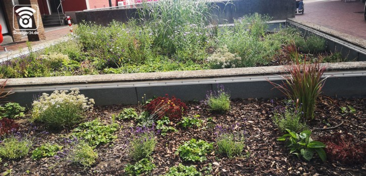 Projekt Urban Gardening: Ein Stück Natur in der City