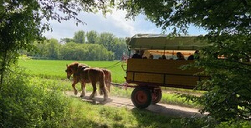 Viel los am ersten Septemberwochenende