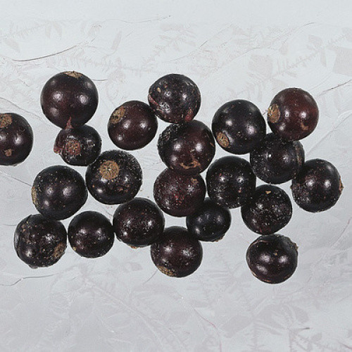 Schwarze Johannisbeeren TK 2,5kg Schwarze Johannisbeeren TK 2,5kg